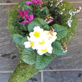 fwthumbhayle - flowers - floristry - sympathy - cornwall - gifts - send flowers today - floral delivery - -florist 2635x3542.jpg
